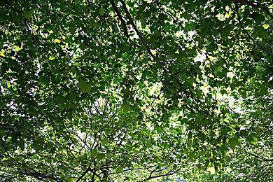 《最后的生还者2复刻版》PC版解锁时间公布：4月4日凌晨